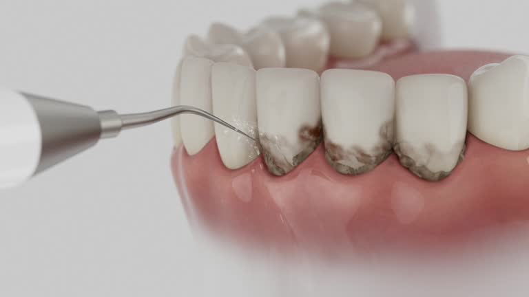 Reliable Dental contractor in Elizabeth Lake, CA by Dentist Open Now